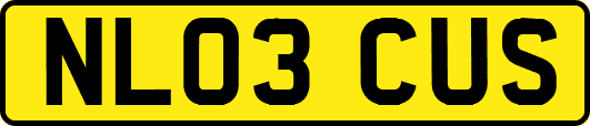 NL03CUS
