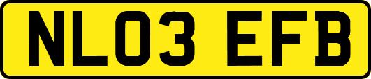 NL03EFB