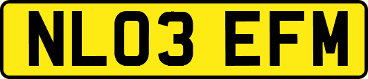 NL03EFM