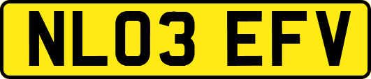 NL03EFV