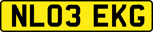 NL03EKG