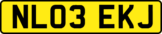 NL03EKJ