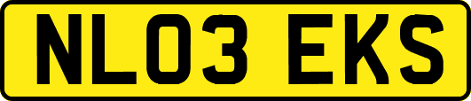 NL03EKS