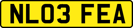 NL03FEA