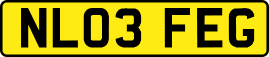 NL03FEG