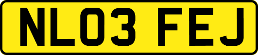 NL03FEJ