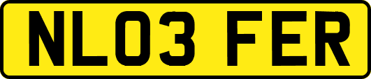 NL03FER
