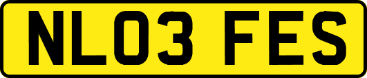 NL03FES