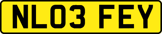 NL03FEY