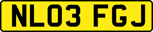 NL03FGJ