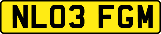 NL03FGM