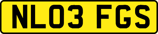 NL03FGS