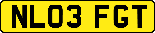 NL03FGT