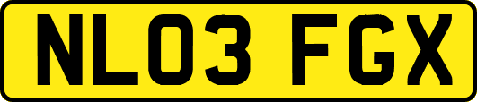 NL03FGX