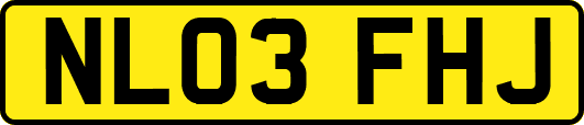 NL03FHJ