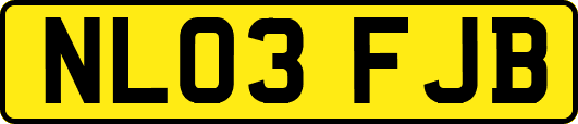 NL03FJB