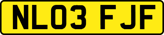 NL03FJF