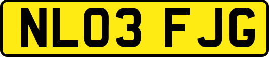 NL03FJG