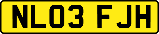 NL03FJH