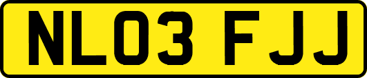 NL03FJJ