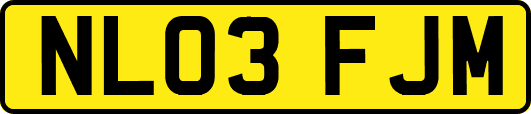 NL03FJM