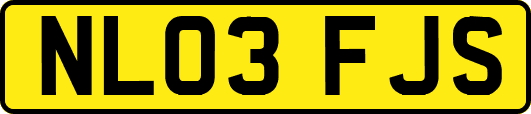 NL03FJS