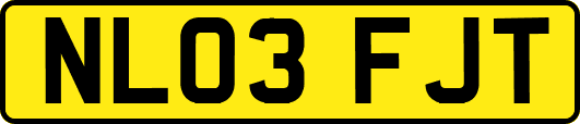 NL03FJT