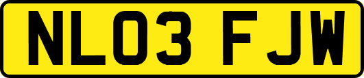 NL03FJW