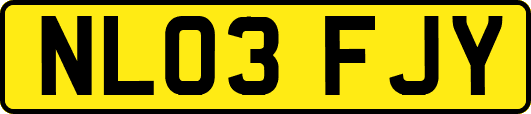 NL03FJY