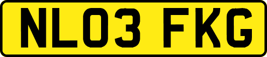 NL03FKG
