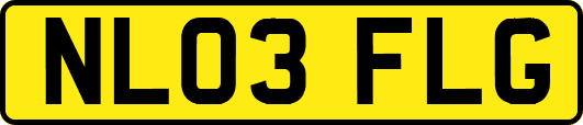 NL03FLG