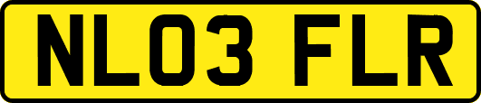 NL03FLR