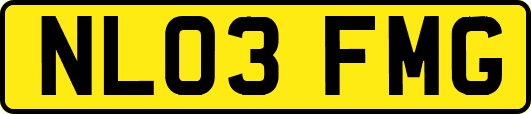 NL03FMG