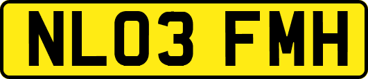 NL03FMH