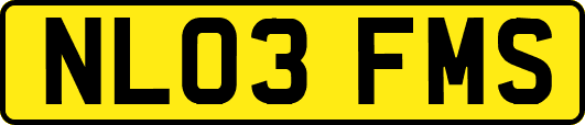 NL03FMS