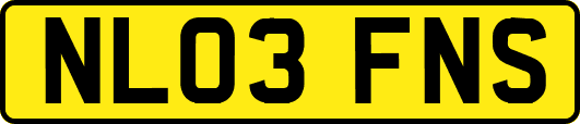 NL03FNS