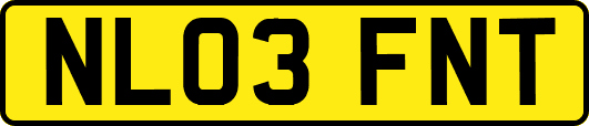 NL03FNT