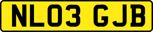NL03GJB