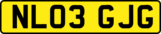 NL03GJG