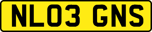 NL03GNS