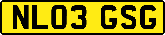 NL03GSG