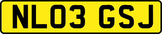 NL03GSJ