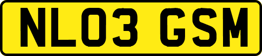 NL03GSM