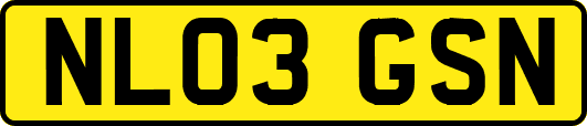 NL03GSN