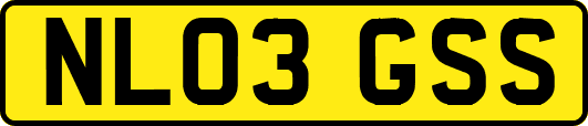 NL03GSS