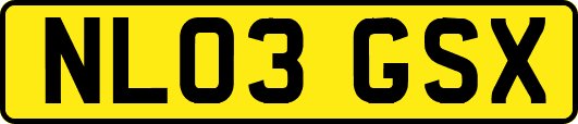 NL03GSX