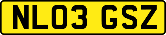 NL03GSZ