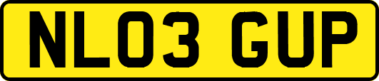 NL03GUP