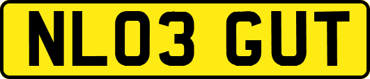 NL03GUT