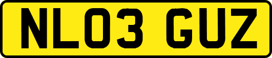 NL03GUZ